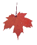 autumn leaf